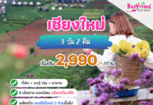 ทัวร์เชียงใหม่ 3 วัน 2 คืน (ที่พัก รถพาเที่ยว อาหาร) สุดคุ้ม