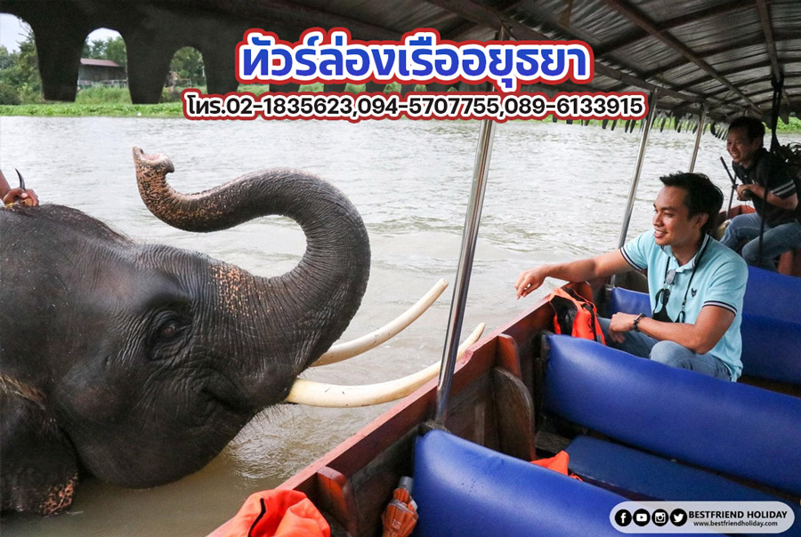 เรืออยุธยาชมช้าง