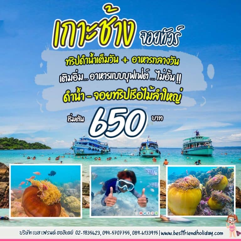 จอยทริปดำน้ำเกาะช้าง เริ่มต้น 650 บาท จอยดำน้ำเรือใหญ่ โปรโมชั่น 2566-2567