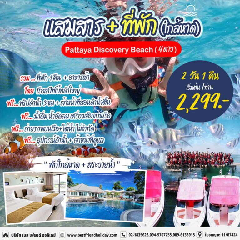 ดำน้ำแสมสาร รวมที่พัก 2 วัน 1 คืน Pattaya Discovery Beach (พัก 4 ดาว)