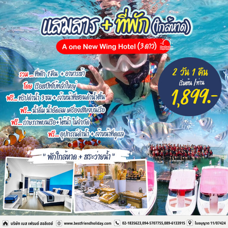 ดำน้ำแสมสาร รวมที่พัก 2 วัน 1 คืน A One New Wing Hotel Pattaya