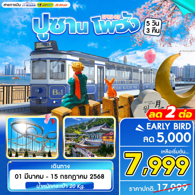 ทัวร์เกาหลี ปูซาน โพฮัง ชายหาดวอลโพ 5 วัน 3 คืน