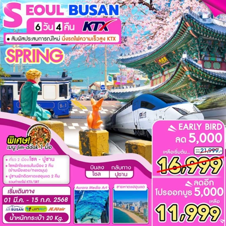 ทัวร์เกาหลี โซล ปูซาน รถไฟความเร็วสูง 6 วัน 4 คืน