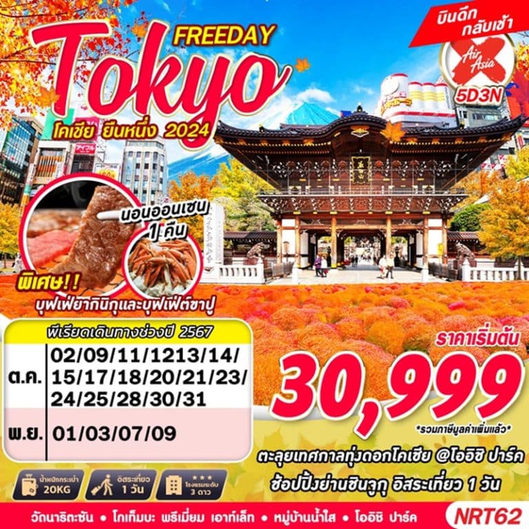 ทัวร์ญี่ปุ่น โตเกียว โคเชีย ฟรีเดย์ 5 วัน 3 คืน