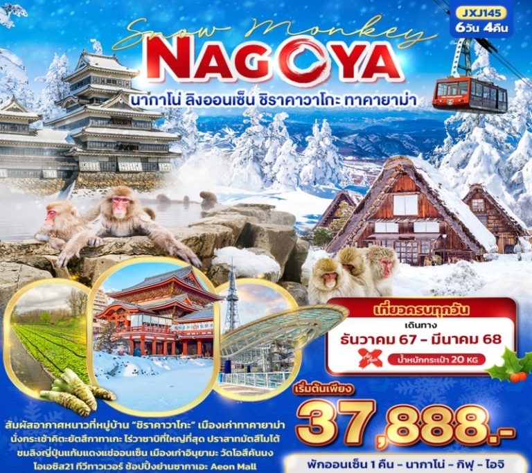 ทัวร์ญี่ปุ่น นากาโน่ ลิงออนเซ็น 6 วัน 4 คืน