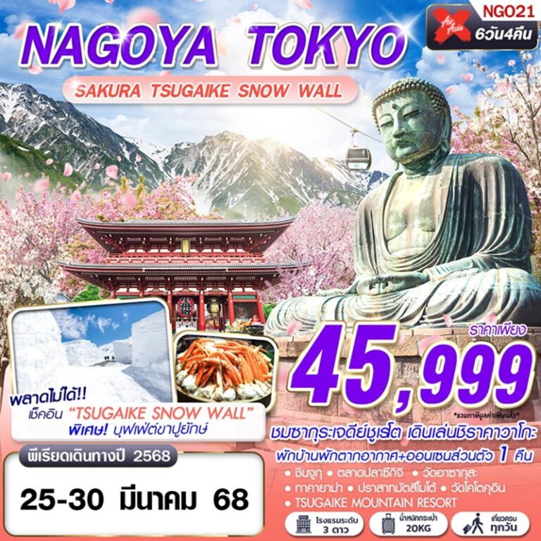 ทัวร์ญี่ปุ่น นาโกย่า โตเกียว 6 วัน 4 คืน