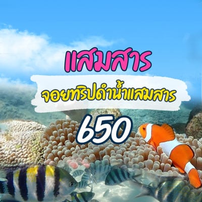 spot_img