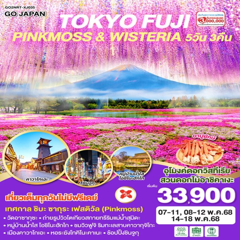 ทัวร์ญี่ปุ่น โตเกียว ฟูจิ 5 วัด 3 คืน