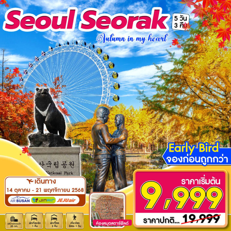 ทัวร์เกาหลี โซล เกาะนามิ ซอรัคซาน 5 วัน 3 คืน