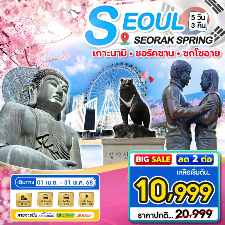 ทัวร์เกาหลี โซล เกาะนามิ ซอรัคซาน 5 วัน 3 คืน