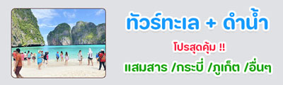 spot_img