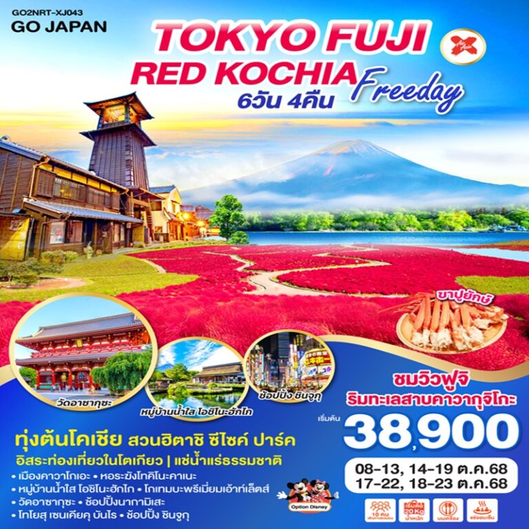 ทัวร์ญี่ปุ่น โตเกียว ฟูจิ 6 วัน 4 คืน