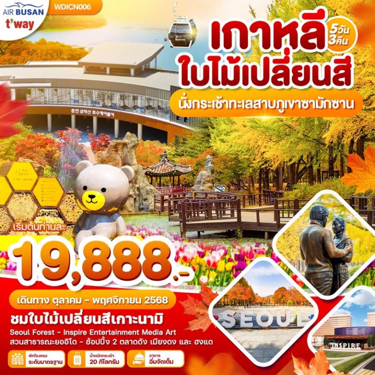 ทัวร์เกาหลี โซล เกาะนามิ 5 วัน 3 คืน