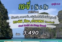 ทัวร์กระบี่ 3 วัน 2 คืน ดำน้ำเกาะพีพี ปิเละ อ่าวมาหยา