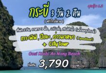 ทัวร์กระบี่ 3 วัน 2 คืน เกาะพีพี ปิเละ อ่าวมาหยา+City Tour