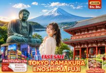 ทัวร์ญี่ปุ่น โตเกียว คามาคุระ เอโนชิมะ 5 วัน 3 คืน